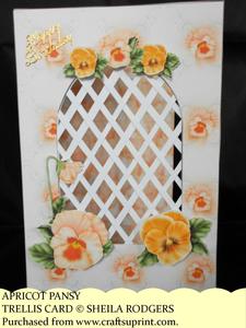 Apricot Pansy - Trellis Card Kit
