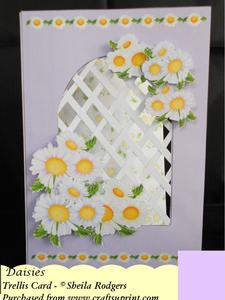 Daisies Trellis Card Kit
