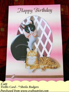 Cats - Trellis Card Kit