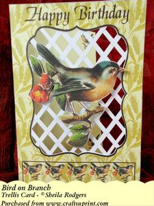 Bird on Branch - Trellis Card Kit