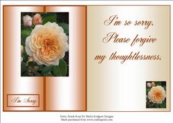 Sorry, Peach Rose