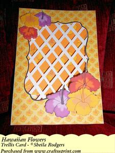 Hawaiian Flowers