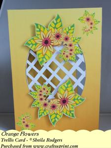 Orange Flowers - Trellis Card Kit