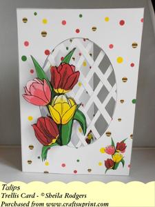 Tulips - Trellis Card Kit