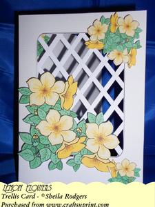 Lemon Flowers - Trellis Card Kit
