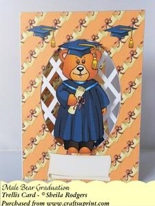 Male Bear Graduation - Trellis Card Kit