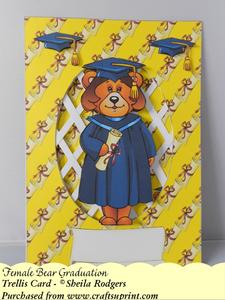 Female Bear Graduation - Trellis Card Kit