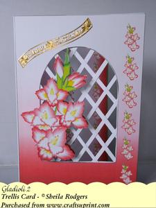 Gladioli 2 - Trellis Card Kit
