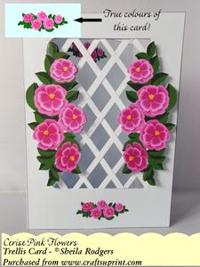 Cerise Pink Flowers - Trellis Card Kit