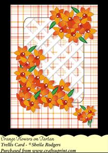 Orange Flowers on Tartan - Trellis Card Kit