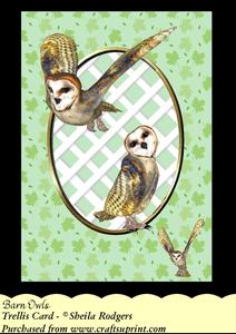 Barn Owls - Trellis Card Kit