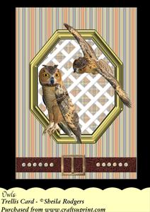 Owls - Trellis Card Kit