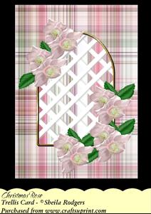 Christmas Rose - Trellis Card Kit