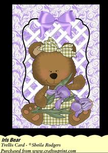 Iris Bear - Trellis Card Kit