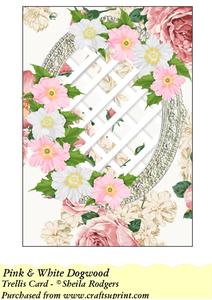 Pink & White Dogwood - Trellis Card Kit