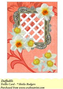 Daffodils - Trellis Card Kit