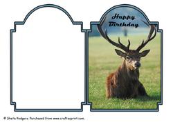 Reclining Stag