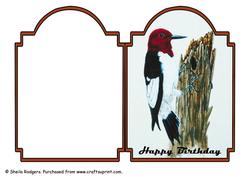 Woodpecker
