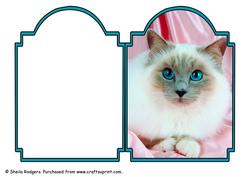 Pedigree Cat 2