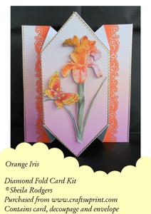 Orange Iris - Diamond Fold Card Kit