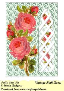 Vintage Pink Roses Side Trellis Card Kit