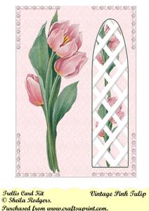 Vintage Pink Tulip Side Trellis