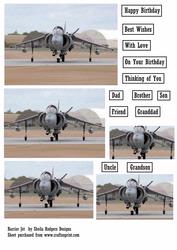 Harrier Jet