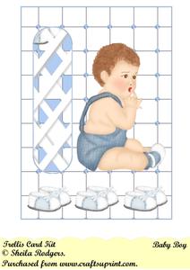 Baby Boy Left Trellis Card Kit