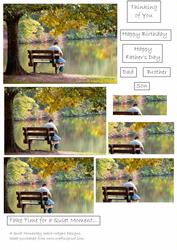 A Quiet Moment