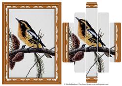 Bird with Fir Cones Panel Card