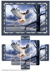 Coming in to Land Panel Card