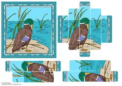 Duck Panel Card