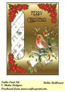 Robin Redbreast Trellis/aperture Card Kit