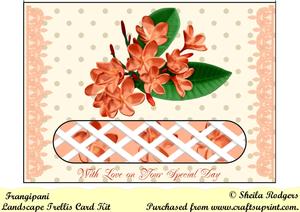 Frangipani Landscape Trellis Card Kit