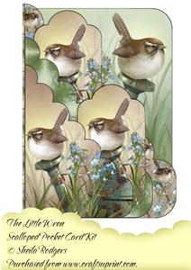 The Little Wren Scalloped Pocket Card Kit