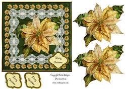 Golden Poinsettia
