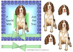 Springer Spaniel Decoupage