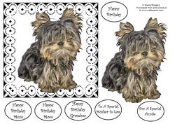 Miniature Yorkshire Terrier Decoupage
