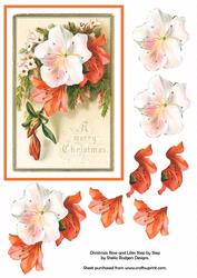 Christmas Rose and Lilies