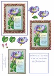 Christmas Morning Glory