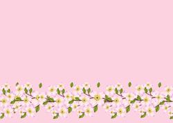 Blossom Border Backing Paper