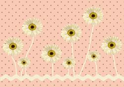 Daisy Backing Paper