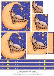 Cat on the Moon