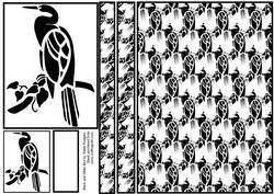 Black and White Bird