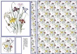 Delicate Flowers Quick Card