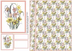 Peach & Yellow Flowers Quick Card