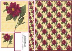 Red Dahlia