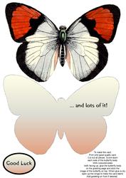 Butterfly Stand Up Card 10 - Good Luck