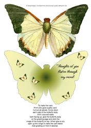 Butterfly Stand Up Card 12