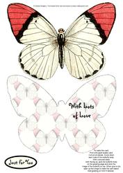 Butterfly Stand Up Card 13